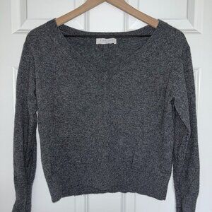 Everlane XS V-Neck Gray Sweater